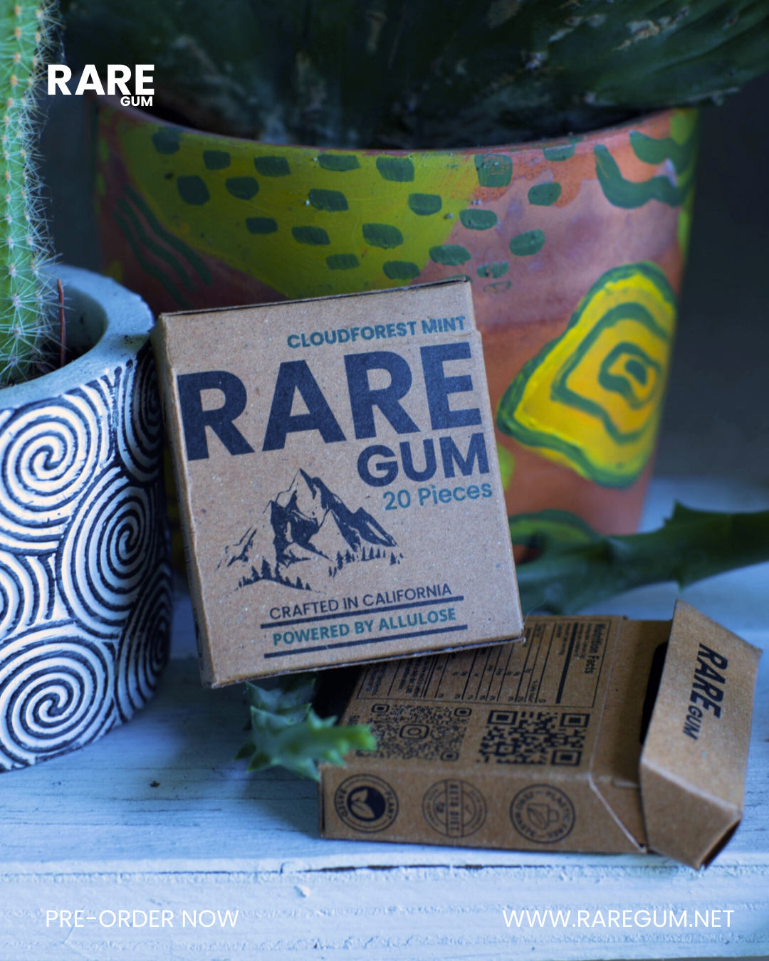 RARE Gum - Cloudforest Mint (6 Pack)