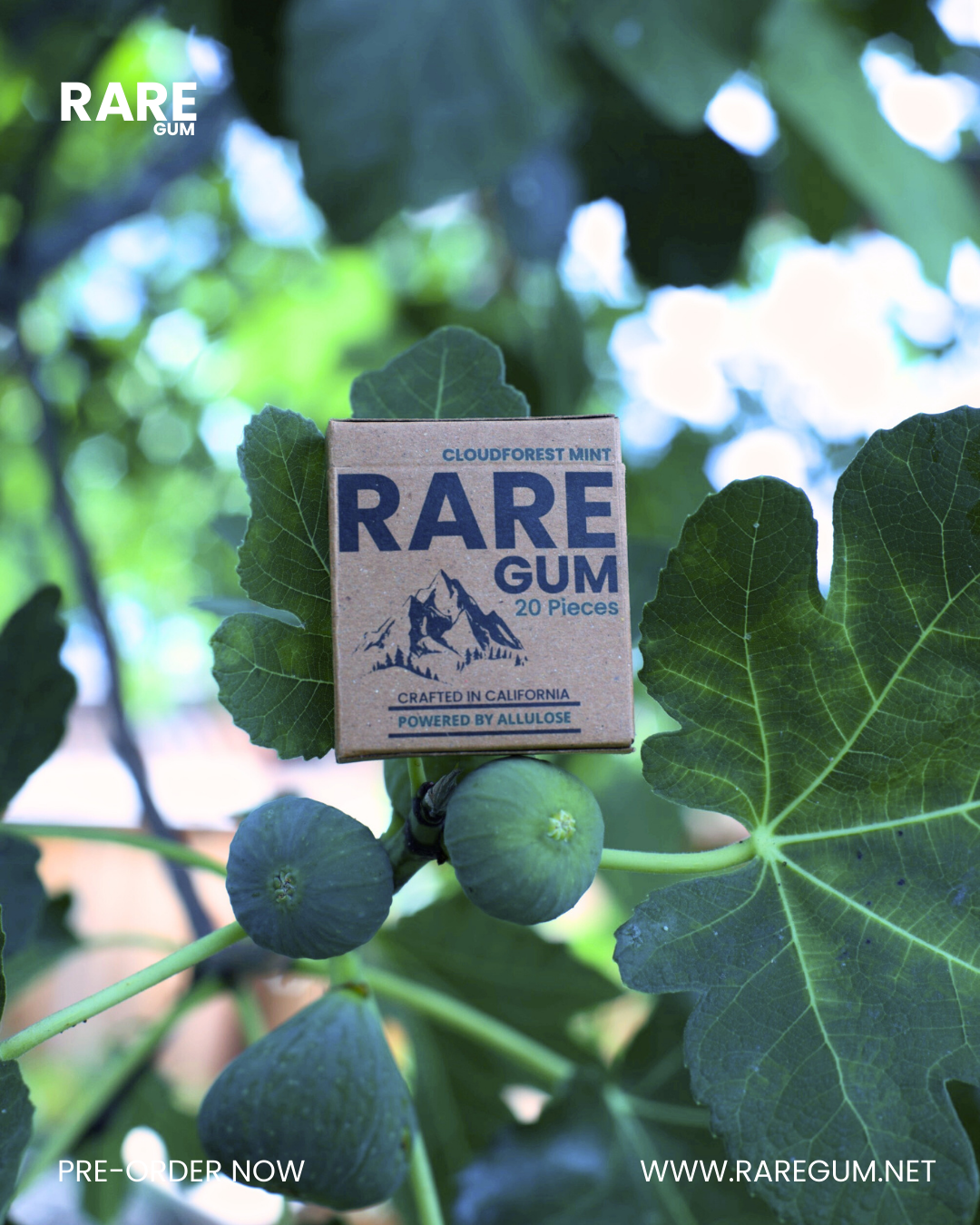 The Discovery Set – 2 Pack